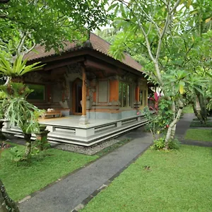 Umah Alas Guest house